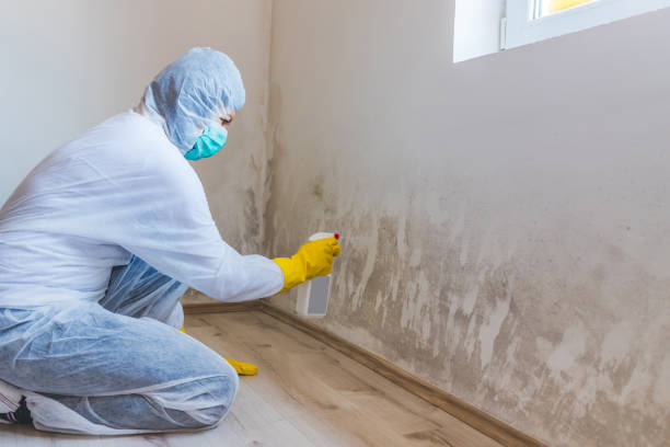 Hvac And Air Duct Mold Remediation inspection of HVAC system in Dalmatia